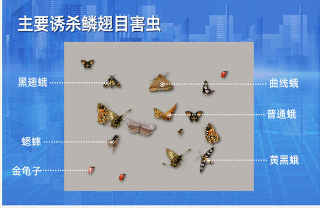 推桿式蟲(chóng)情測(cè)報(bào)燈-(1).jpg