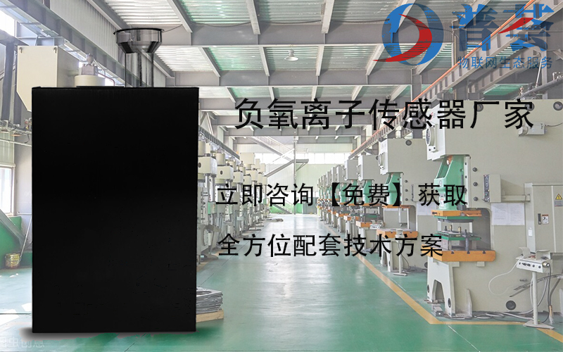 負氧離子傳感器廠家哪家好